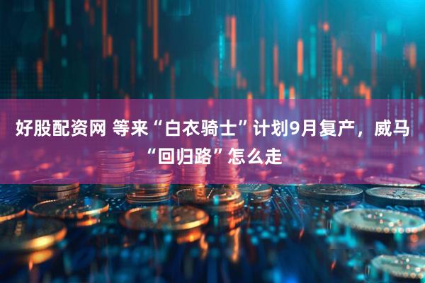 好股配资网 等来“白衣骑士”计划9月复产，威马“回归路”怎么走