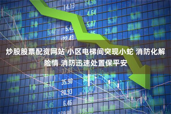 炒股股票配资网站 小区电梯间突现小蛇 消防化解险情 消防迅速处置保平安